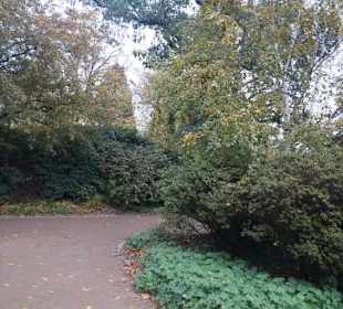 Parkanlage Planten un Blomen