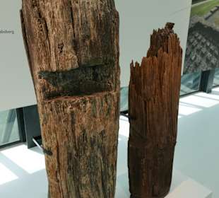 Reste von Eichenbohlen die von Römern verbaut 