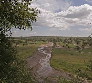 Ausblick Tarangire