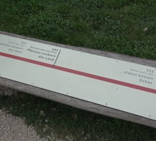 Dinosaurier Museum Altmühltal