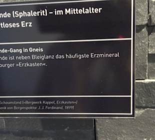 Museum für Naturkunde