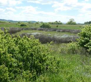 Eindruck vom Spaziergang Ostheimer Streifberg-Tour