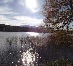 Rundgang um den See