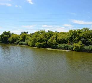 Jezioro Czerniakowskie