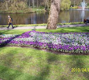 Keukenhof