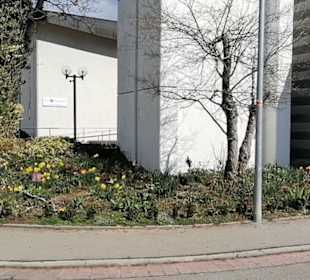 Katholische Kirche St. Michael