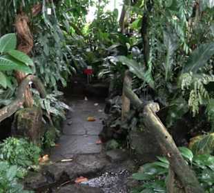 Tropicarium