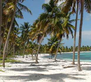 Insel Saona
