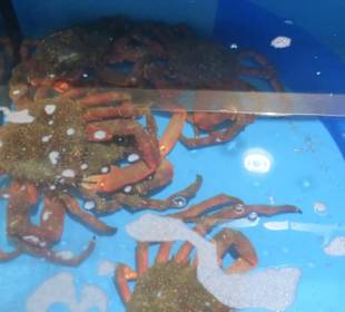 Im Mercado Central von Las Palmas