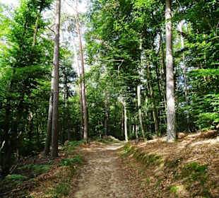 Wanderung durch die Kleine Luxemburger Schweiz