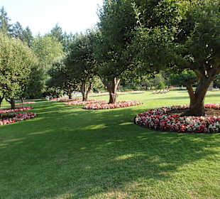 Grünanlagen