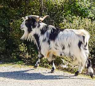 Wandern Litochoro