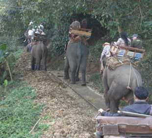 Elefantencamp Chiang Mai,Nord-Thailand