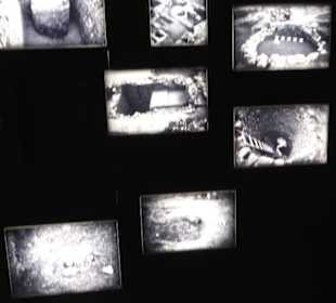 Rheinisches Landesmuseum