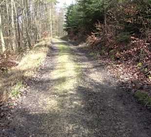 Gomaringer Rundweg - Zu den Giganten im Wald