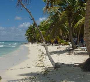 Strand Insel Saona
