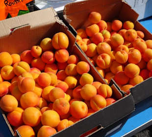 Impressionen vom Wochenmarkt Saint-Cyprien-Plage