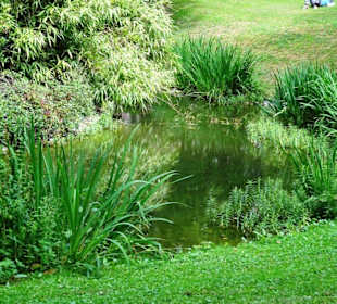 Rundgang durch den Edmund Klein Park