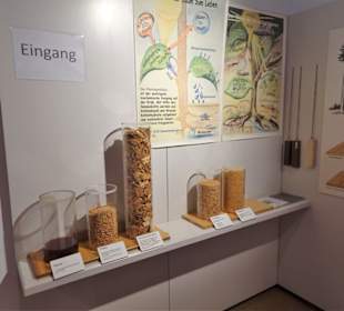 Eindrücke aus dem Holztechnischen Museum