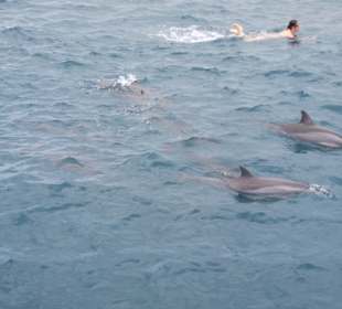 Katamaran Tour Belle Mare