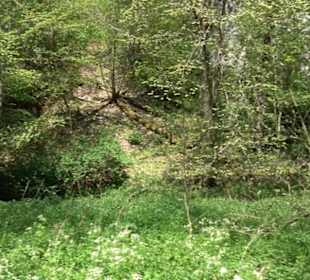 Premiumwanderweg Hochgehschätzt