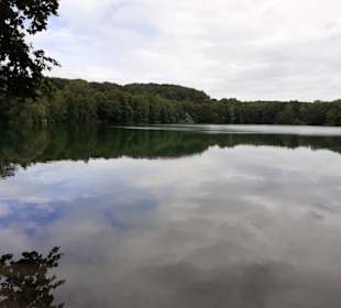 Rensinger See in Kellinghusen