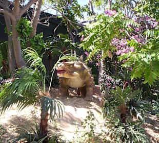 Dino