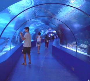 Röhren Aquarium Antalya 