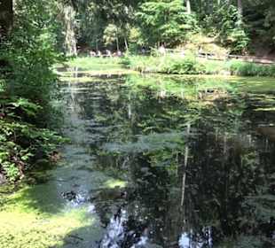 Wanderweg - Alter Steinbruch Pfaffenberg Runde