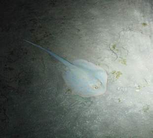 Фото с пирса