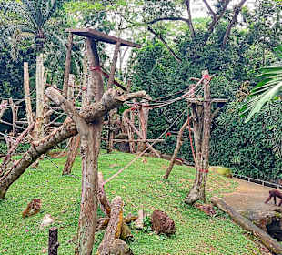 Singapur Zoo