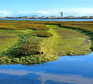 Der Weg ist das Ziel