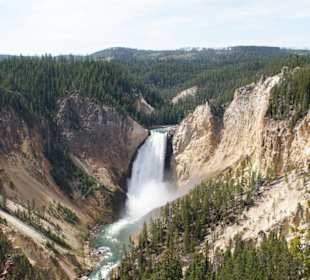 Yellowstone NP