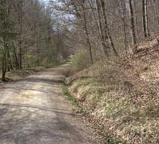 Fäulbachtal