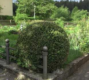 Wallfahrtskirche Heiligenbronn
