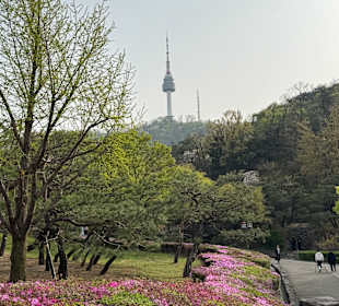 Namsangol Hanok Village