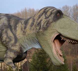 Bałtowski kompleks turystyczny