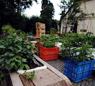 Góra Zamkowa Cieszyn