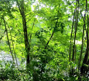 Wandern Schenkenzell