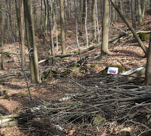 Historischer Steinbruch Hohe Buche