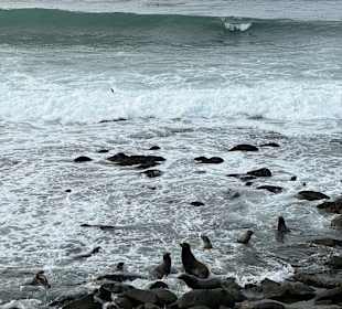 Küste La Jolla