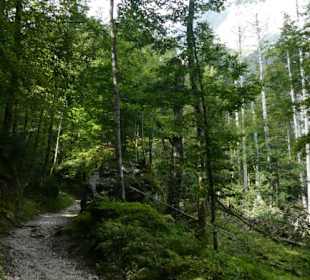 Wanderung von St. Bartholomä zur Eiskapelle