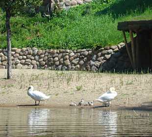 Malownicza rzeka Krutyń