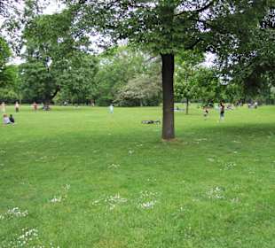 Liege- und Spielwiesen