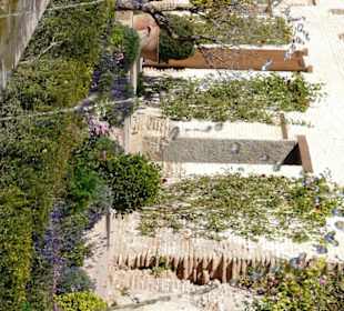 Dettaglio del giardino