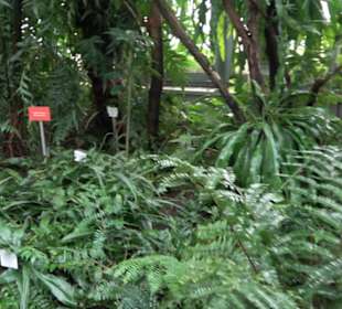 Tropicarium