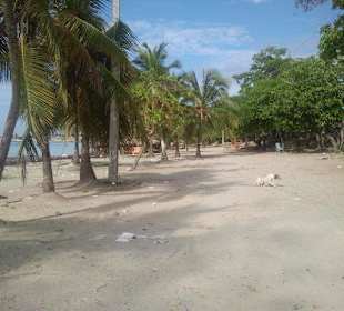 Der Strand von Boca Chica in der Dominikanischen