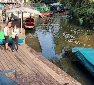 Wandern Neuhausen/Spree