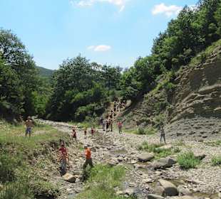 Krajobrazy w trakcie safari