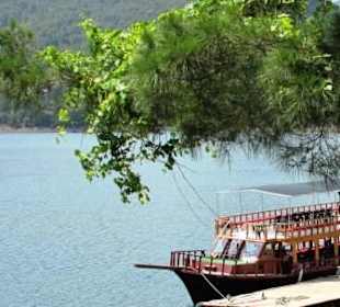 Dieses Schiff fährt die Tour durch den Green Cayno